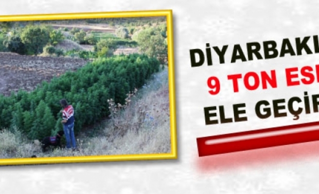Diyarbakır'da 9 Ton Esrar Ele Geçirildi