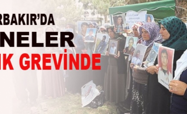 Diyarbakır'da Anneler Açlık Grevine Başladı