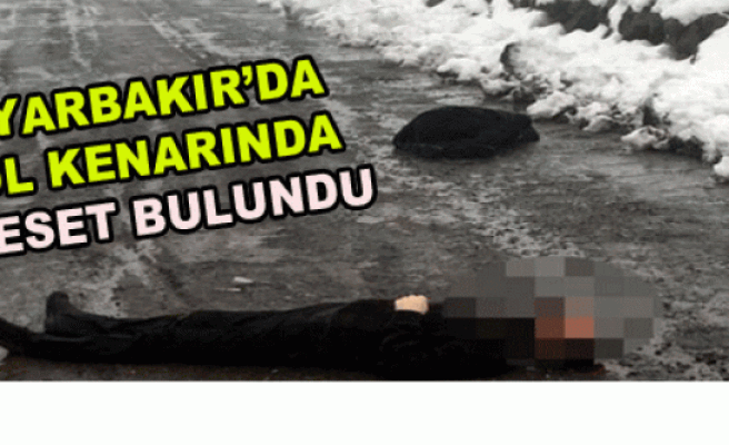 Diyarbakır'da yol kenarında iki ceset bulundu