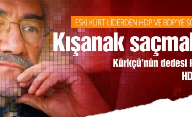 Eski Kürt liderden HDP ve BDP'ye ağır eleştiri