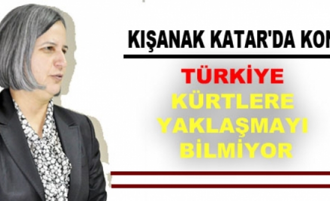 Kışanak: Türkiye, Kürtlere yaklaşmayı bilmiyor