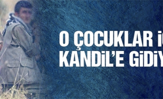 Selahattin Demirtaş, PKK'nın dağa götürdüğü çocuklar için Kandil'le görüşecek.