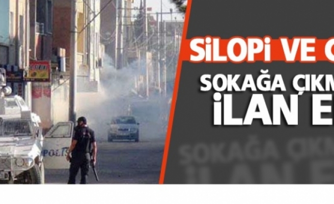 Silopi ve Cizre'de sokağa çıkma yasağı