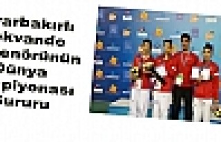 Diyarbakırlı Tekvando Antrenörünün Dünya Şampiyonası...