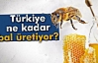 Türkiye ne kadar bal üretiyor?