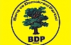 BDP'de Yerel Seçim Hazırlıkları