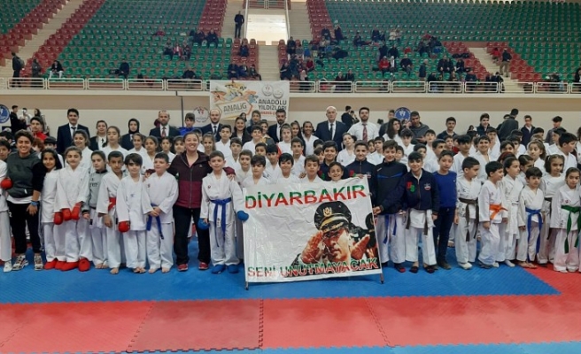 Şehit Emniyet Müdürü Okkan adına karate turnuvası düzenlendi