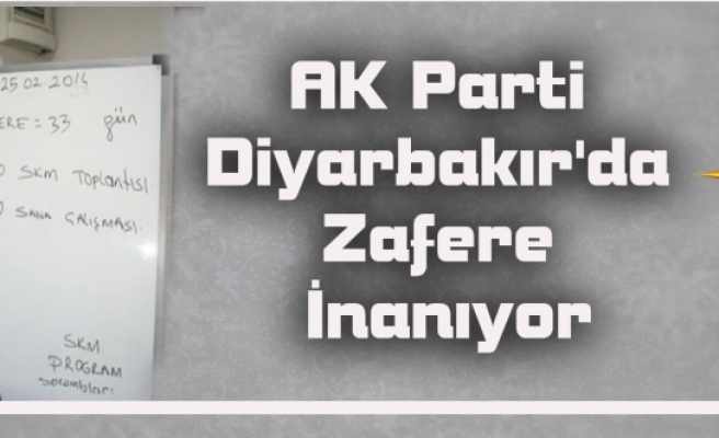 AK Parti Diyarbakır'da Zafere İnanıyor..