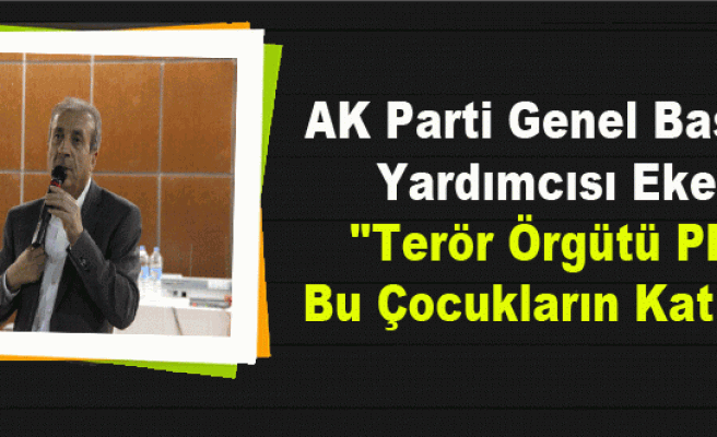AK Parti Genel Başkan Yardımcısı Eker: 
