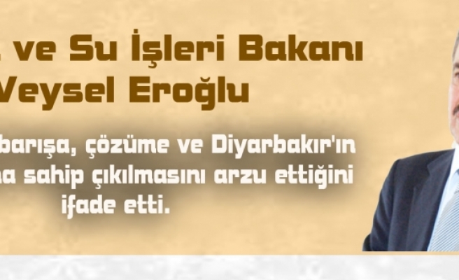 Bakan Eroğlu:''Diyarbakırlılar 30 Mart'ta Oylarıyla Çarpsınlar Onları