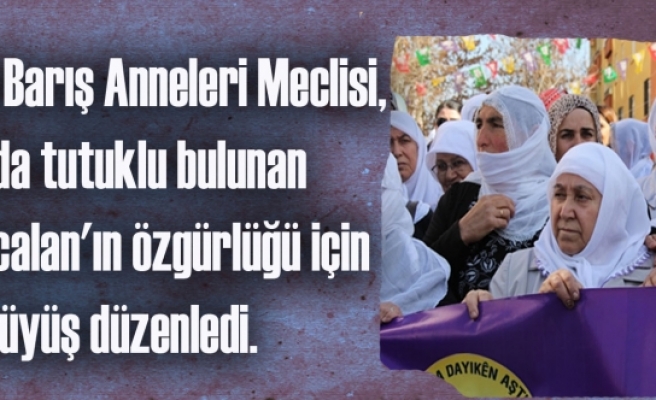 Barış Anneleri' Öcalan'ın Özgürlüğü İçin Yürüyüş Düzenledi