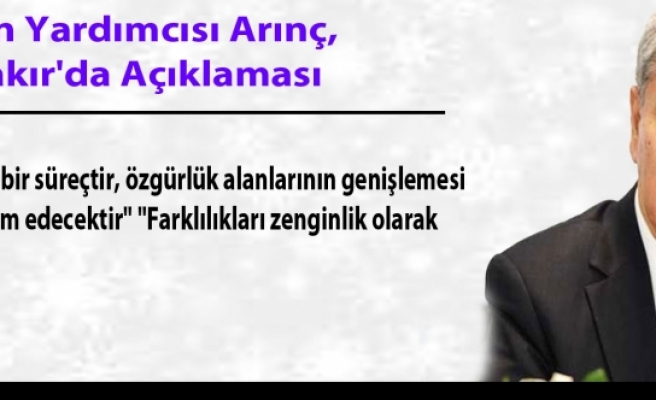 Başbakan Yardımcısı Arınç, Diyarbakır'da Açıklaması