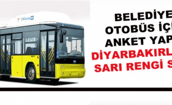 Belediye Otobüs İçin Anket Yaptı, Diyarbakırlılar Sarı Rengi Seçti
