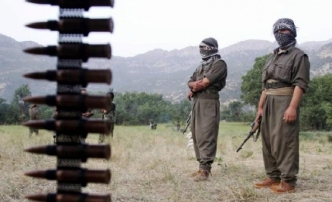Bingöl'de, PKK'lılar Müteahhit Kaçırdı