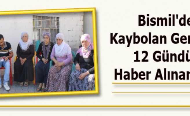 Bismil'de Kaybolan Gençten 12 Gündür Haber Alınamıyor