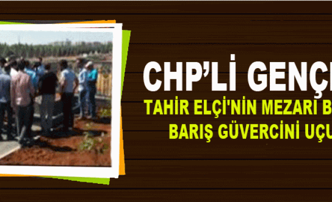 CHP'li Gençler, Diyarbakır'da Tahir Elçi'nin Mezarı Başında Barış Güvercini Uçurdu