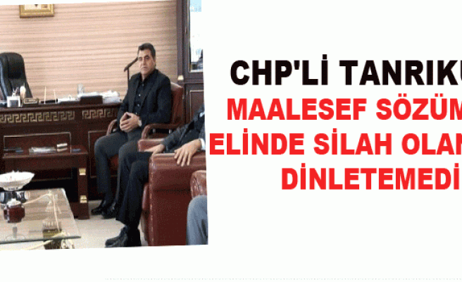 CHP'li Tanrıkulu: Maalesef Sözümüzü Elinde Silah Olanlara Dinletemedik
