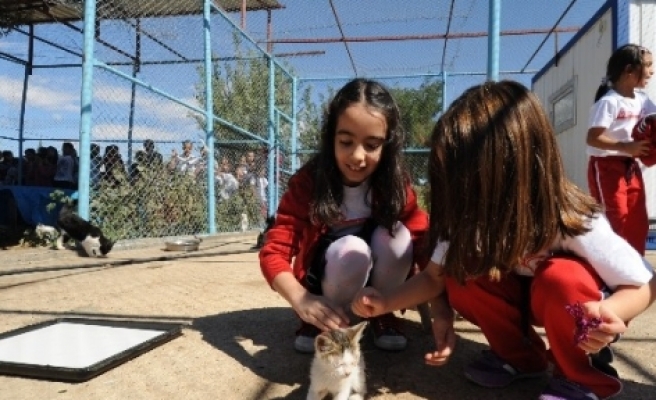 Çocuklardan Hayvan Barınağına Ziyaret 