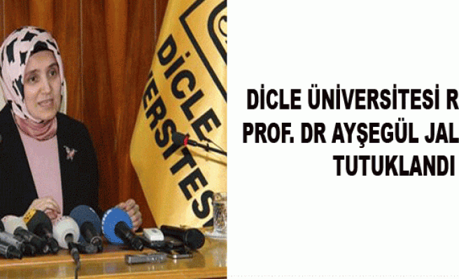 Dicle Üniversitesi Rektörü Saraç tutuklandı!
