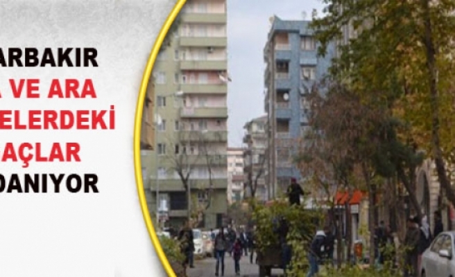 Diyarbakır Ana ve Ara Caddelerdeki Ağaçlar Budanıyor