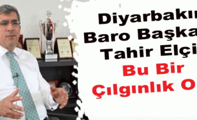 Diyarbakır Baro Başkanı Tahir Elçi: Bu Bir Çılgınlık Olur