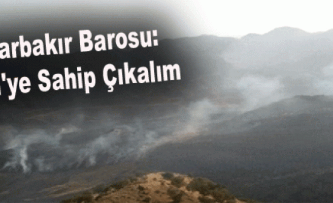 Diyarbakır Barosu: Cudi'ye Sahip Çıkalım