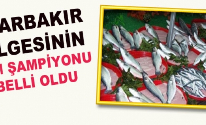 Diyarbakır Bölgesinin Zam Şampiyonu Balık Oldu