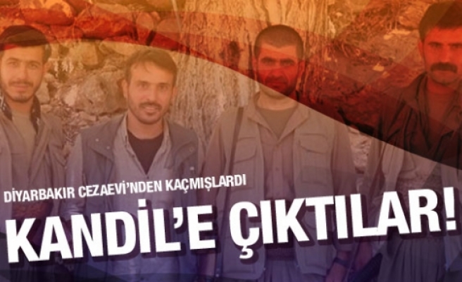 Diyarbakır Cezaevi'nden kaçan 4 PKK'lı bakın nereymiş!
