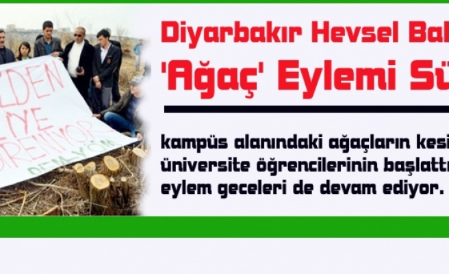 Diyarbakır Hevsel Bahçelerinde 'Ağaç' Eylemi Sürüyor