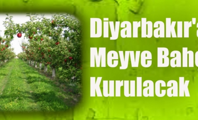 Diyarbakır'a Meyve Bahçeleri Kurulacak