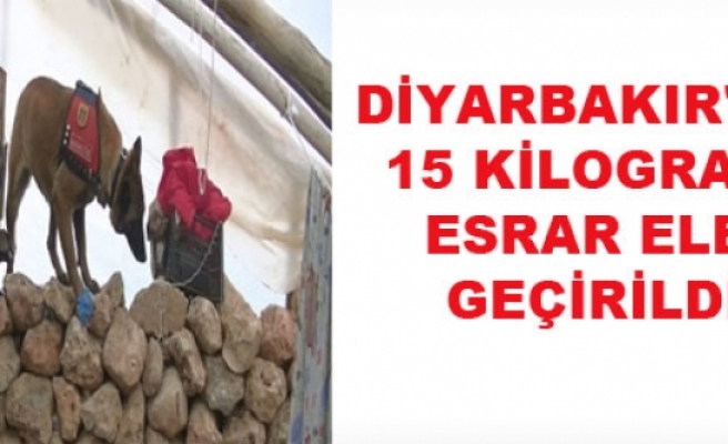 Diyarbakır'da 15 Kilogram Esrar Ele Geçirildi