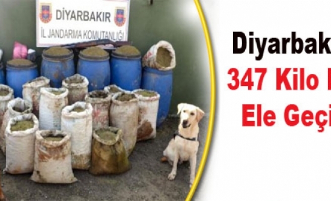 Diyarbakır'da 347 Kilo Esrar Ele Geçirildi