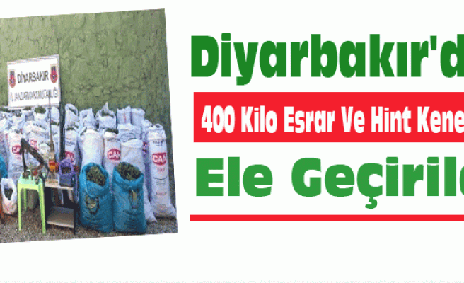 Diyarbakır'da 400 Kilo Esrar Ve Hint Keneviri Ele Geçirildi