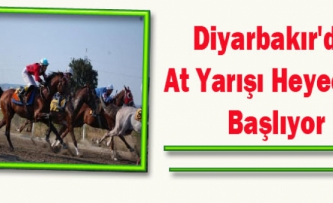 Diyarbakır'da At Yarışı Heyecanı Başlıyor