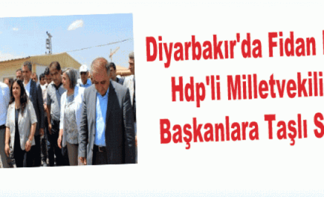 Diyarbakır'da Fidan Diken Hdp'li Milletvekili ve Başkanlara Taşlı Saldırı