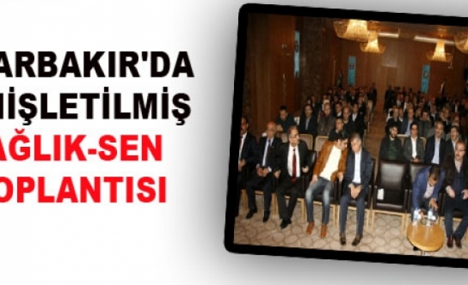 Diyarbakır'da Genişletilmiş Sağlık-Sen Toplantısı