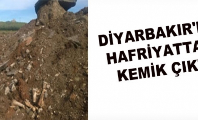 Diyarbakır'da hafriyattan kemik çıktı