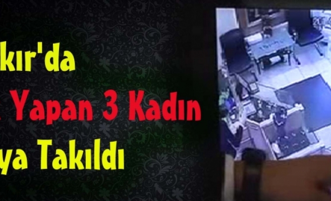 Diyarbakır'da Hırsızlık Yapan 3 Kadın Kameraya Takıldı