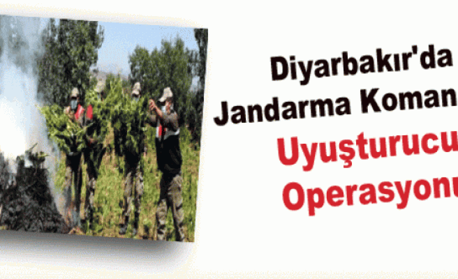 Diyarbakır'da Jandarma Komandolu Uyuşturucu Operasyonu