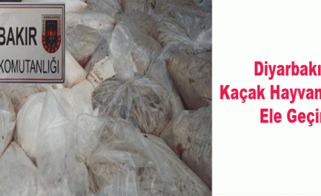 Diyarbakır'da Kaçak Hayvansal Ürün Ele Geçirildi