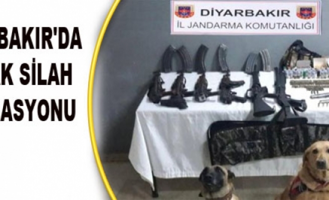 Diyarbakır'da Kaçak Silah Operasyonu
