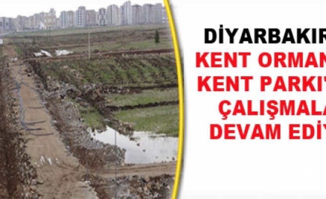 Diyarbakır'da Kent Ormanı ve Kent Parkı'nda Çalışmalar Devam Ediyor