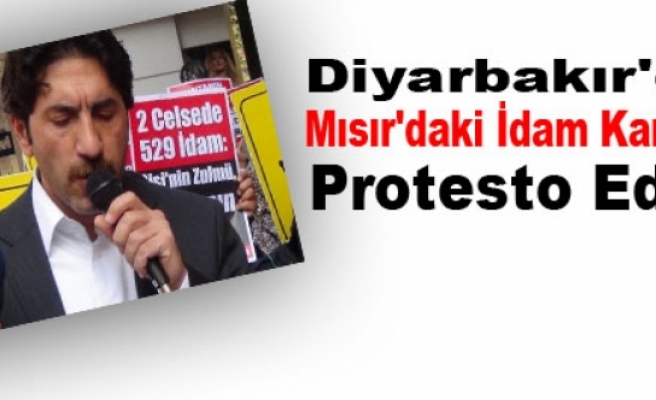 Diyarbakır'da Mısır'daki İdam Kararları Protesto Edildi
