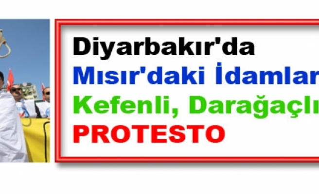 Diyarbakır'da Mısır'daki İdamlara Kefenli, Darağaçlı Protesto