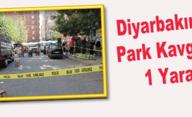 Diyarbakır'da Park Kavgası: 1 Yaralı
