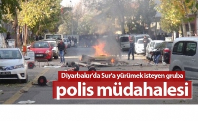 Diyarbakır'da Sur'a yürümek isteyen gruba polis müdahalesi