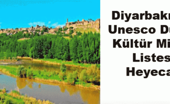 Diyarbakır'da Unesco Dünya Kültür Mirası Listesi Heyecanı