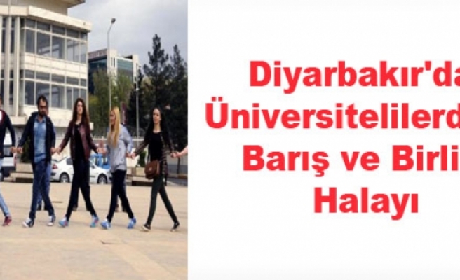 Diyarbakır'da Üniversitelilerden, Barış ve Birlik Halayı