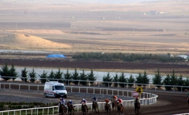 Diyarbakır’da Valilik Kupası Yarışı Düzenlendi 