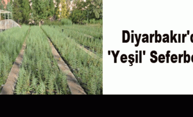 Diyarbakır'da 'Yeşil' Seferberliği